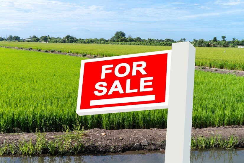 Secluded Residential Plot